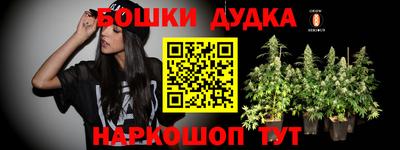 бошки Боровичи