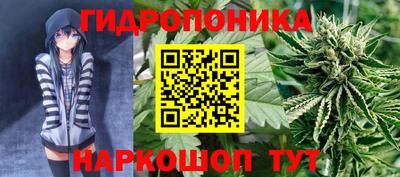 бошки Боровичи