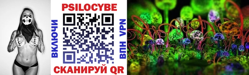 сколько стоит  Темрюк  Псилоцибиновые грибы мицелий 