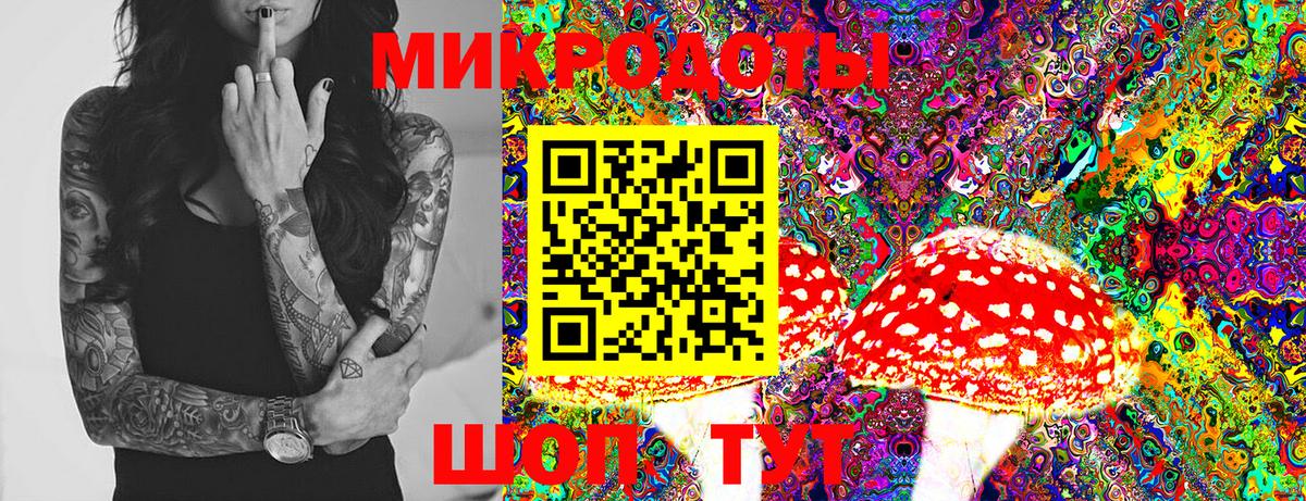 Галлюциногенные грибы мухоморы Темрюк